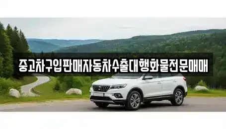 인천 중구 남북동 중고차 전문 중고차구입판매자동차수출대행화물전문매매