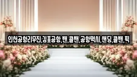 인천공항리무진,김포공항,밴,콜밴,공항택시,샌딩,콜밴,픽