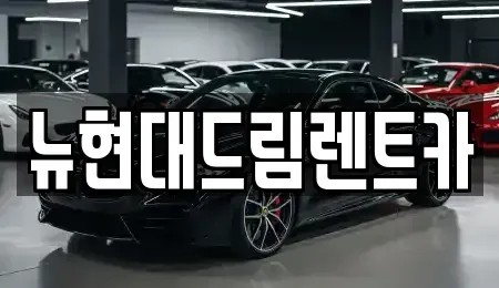 인천광역시 계양구 갈현동 렌트카 전문 뉴현대드림렌트카