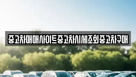 인천광역시 계양구 갈현동 중고차 전문 중고차매매사이트중고차시세조회중고차구매
