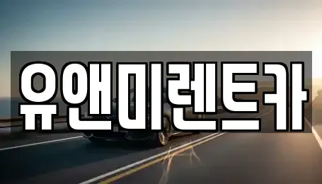 인천광역시 계양구 방축동 장기렌트카 전문 유앤미렌트카