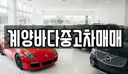 인천광역시 계양구 방축동 중고차매매 전문 계양바다중고차매매