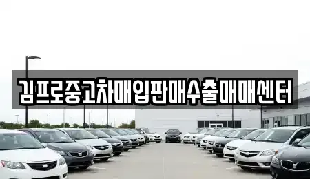 인천광역시 동구 송림동 중고차매입 전문 김프로중고차매입판매수출매매센터