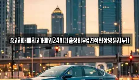 인천광역시 서구 경서동 중고차매매 전문 중고차매매최고가매입24시간출장비무료견적현장방문지누카