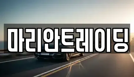 인천광역시 서구 오류동 중고차매매 전문 마리안트레이딩