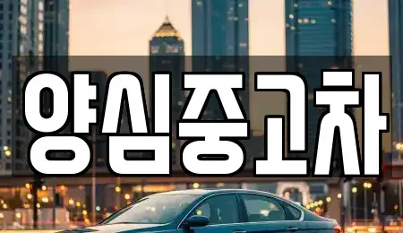 인천광역시 서구 오류동 중고차매매 전문 양심중고차