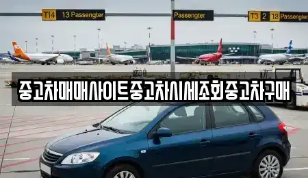 인천광역시 서구 오류동 중고차매매 전문 중고차매매사이트중고차시세조회중고차구매