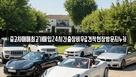 인천광역시 서구 오류동 중고차매입 전문 중고차매매최고가매입24시간출장비무료견적현장방문지누카