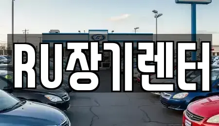 인천광역시 연수구 장기렌트카 전문 RU장기렌터