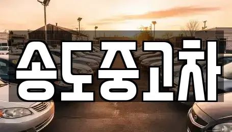 인천광역시 연수구 중고차 전문 송도중고차