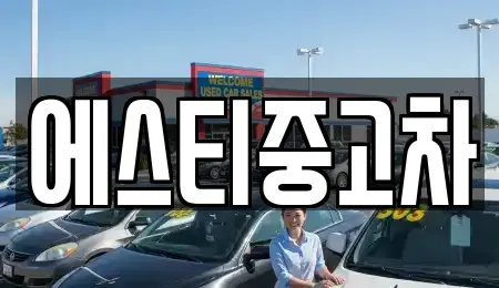 인천광역시 연수구 중고차 전문 에스티중고차