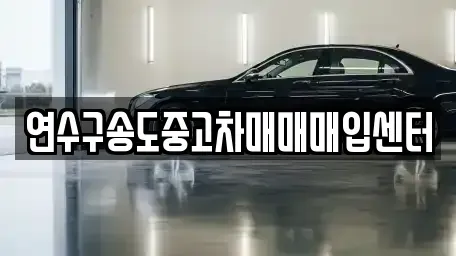 인천광역시 연수구 중고차 전문 연수구송도중고차매매매입센터