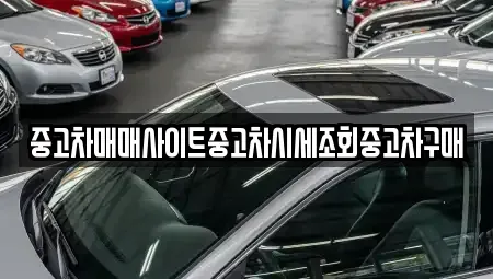 인천광역시 옹진군 북도면 중고차매매 전문 중고차매매사이트중고차시세조회중고차구매