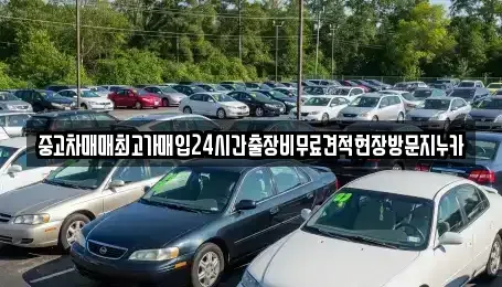 인천광역시 중구 유동 중고차매입 전문 중고차매매최고가매입24시간출장비무료견적현장방문지누카