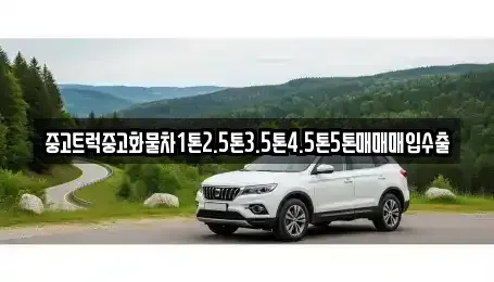 인천광역시 중구 유동 중고차매입 전문 중고트럭중고화물차1톤2.5톤3.5톤4.5톤5톤매매매입수출