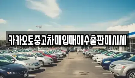 인천광역시 중구 유동 중고차매입 전문 카카오토중고차매입매매수출판매시세