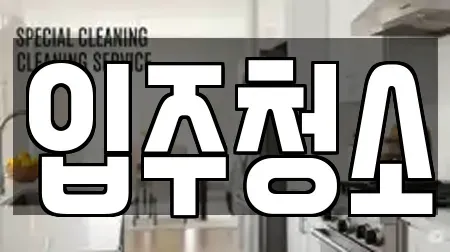 입주청소