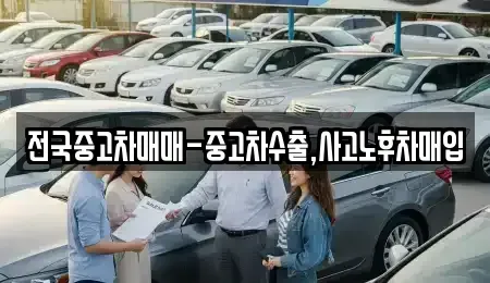 전남 광양시 금호동 중고차매입 전문 전국중고차매매-중고차수출,사고노후차매입