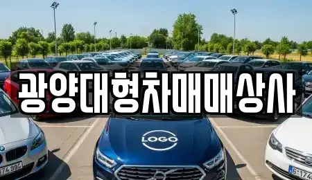 전남 광양시 황금동 중고차매매 전문 광양대형차매매상사