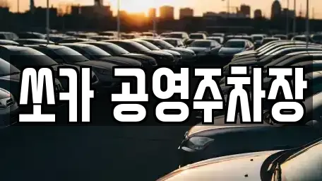 전남 담양군 무정면 렌트카 전문 쏘카 공영주차장