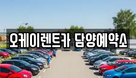 전남 담양군 무정면 렌트카 전문 오케이렌트카 담양예약소