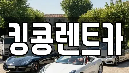 전남 담양군 무정면 렌트카,단기렌트카,장기렌트카,중고차,중고차매매,중고차매입