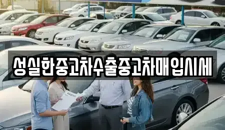 전남 담양군 무정면 중고차매입 전문 성실한중고차수출중고차매입시세