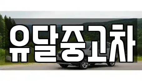 전남 목포시 옥암동 중고차 전문 유달중고차