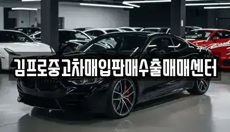 전남 목포시 창평동 중고차매입 전문 김프로중고차매입판매수출매매센터