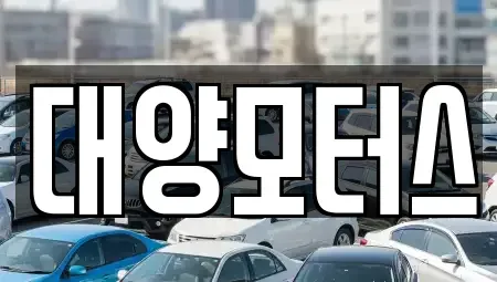전남 목포시 해안동4가 중고차 전문 대양모터스