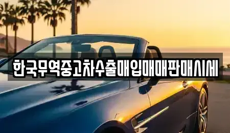 전남 여수시 경호동 중고차매매 전문 한국무역중고차수출매입매매판매시세
