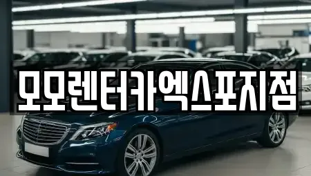 전남 여수시 돌산읍 렌트카 전문 모모렌터카엑스포지점