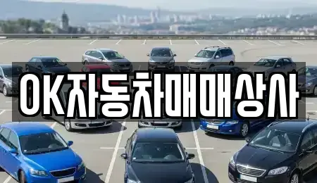 전남 여수시 중앙동 중고차 전문 OK자동차매매상사