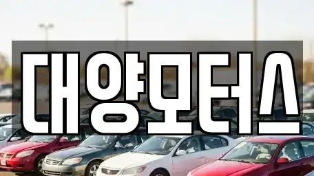 전남 여수시 중앙동 중고차 전문 대양모터스
