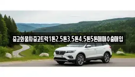 전남 영암군 시종면 중고차 전문 중고화물차중고트럭1톤2.5톤3.5톤4.5톤5톤매매수출매입
