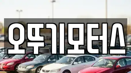 전남 완도군 군외면 중고차 전문 오뚜기모터스