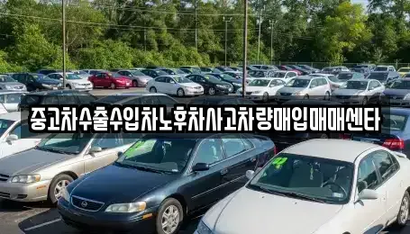 전남 완도군 군외면 중고차매입 전문 중고차수출수입차노후차사고차량매입매매센타