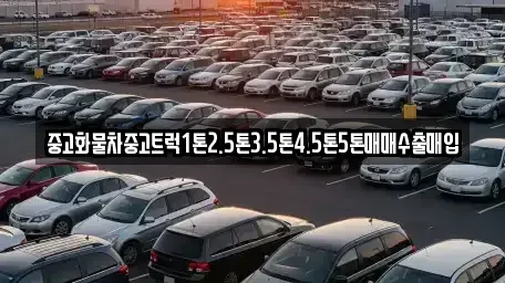 전남 장흥군 안양면 중고차,렌트카,중고차매입,중고차매매,장기렌트카,단기렌트카