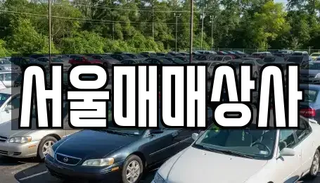 전라남도 광양시 옥곡면 중고차매매,단기렌트카,중고차매입,장기렌트카,중고차,렌트카
