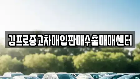 전라남도 목포시 중앙동2가 중고차매입 전문 김프로중고차매입판매수출매매센터