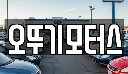전라남도 장흥군 중고차 전문 오뚜기모터스