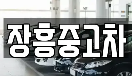 전라남도 장흥군 장기렌트카,중고차,렌트카,단기렌트카,중고차매입,중고차매매