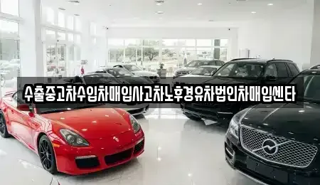 전라남도 장흥군 중고차매입 전문 수출중고차수입차매입사고차노후경유차법인차매입센타
