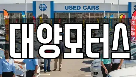 전라남도 장흥군 회진면 렌트카,단기렌트카,장기렌트카,중고차,중고차매매,중고차매입