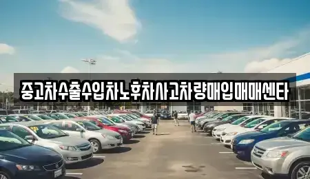 전북 김제시 흥사동 중고차매입 전문 중고차수출수입차노후차사고차량매입매매센타
