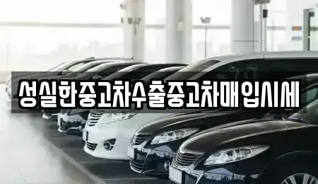 전북 전주시 덕진구 인후동2가 중고차 전문 성실한중고차수출중고차매입시세