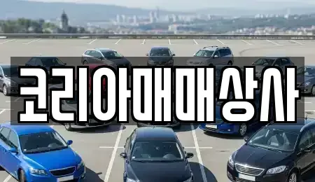 전북 전주시 덕진구 호성동3가 중고차 전문 코리아매매상사