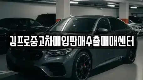 전북특별자치도 부안군 동진면 중고차 전문 김프로중고차매입판매수출매매센터