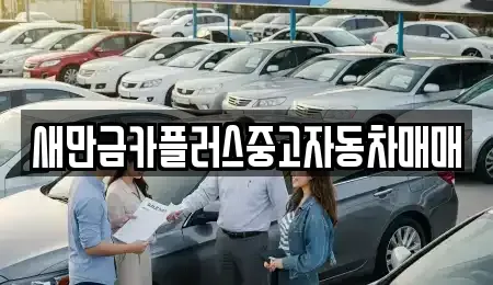 전북특별자치도 부안군 백산면 중고차 전문 새만금카플러스중고자동차매매