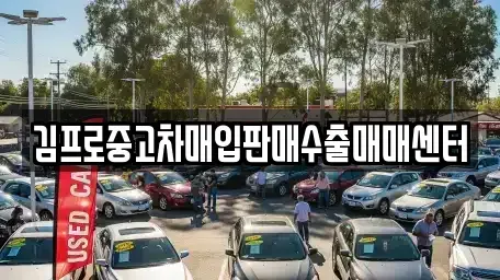 전북특별자치도 부안군 백산면 중고차매입 전문 김프로중고차매입판매수출매매센터
